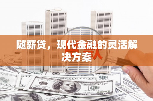 林甸随薪贷，现代金融的灵活解决方案