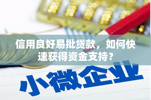 林甸信用良好易批贷款，如何快速获得资金支持？