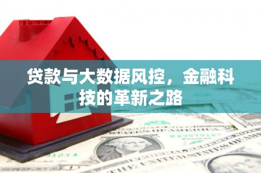 林甸贷款与大数据风控，金融科技的革新之路