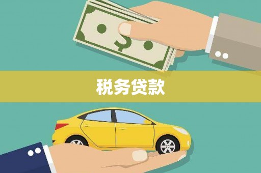 林甸税务贷款