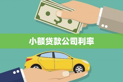 林甸小额贷款公司利率