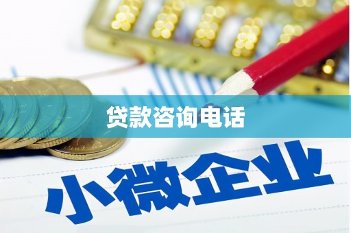 林甸贷款咨询电话