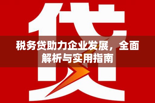 林甸税务贷助力企业发展，全面解析与实用指南