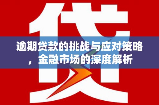 林甸逾期贷款的挑战与应对策略，金融市场的深度解析