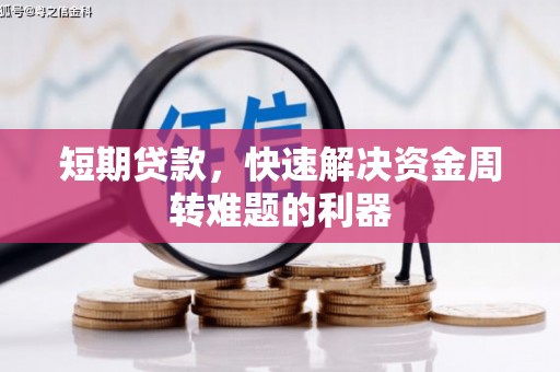 林甸短期贷款，快速解决资金周转难题的利器