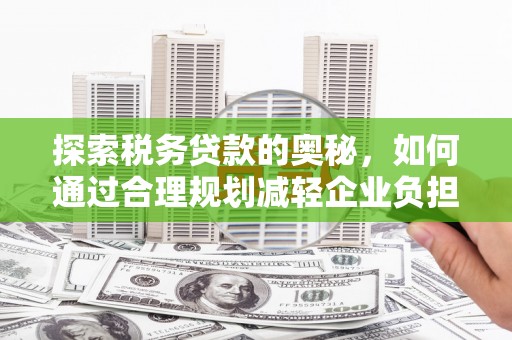 林甸探索税务贷款的奥秘，如何通过合理规划减轻企业负担