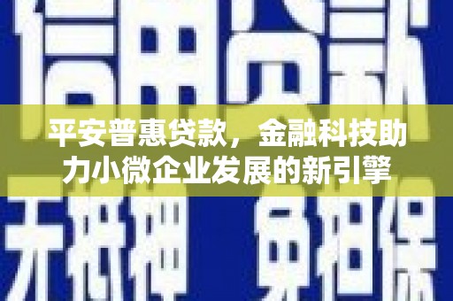 林甸平安普惠贷款，金融科技助力小微企业发展的新引擎