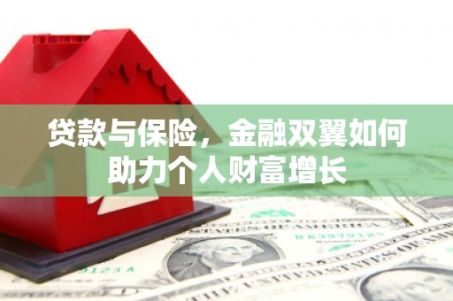 林甸贷款与保险，金融双翼如何助力个人财富增长