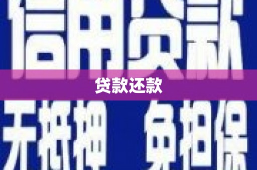 林甸贷款还款