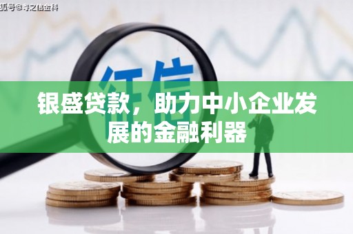 林甸银盛贷款，助力中小企业发展的金融利器