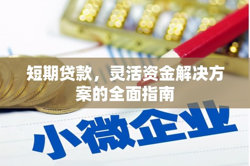 林甸短期贷款，灵活资金解决方案的全面指南
