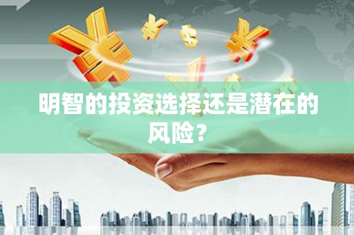 林甸明智的投资选择还是潜在的风险？