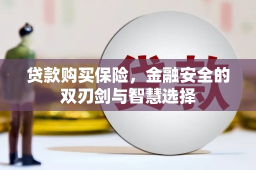 林甸贷款购买保险，金融安全的双刃剑与智慧选择