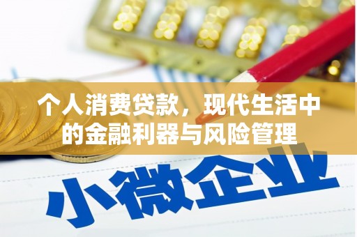 林甸个人消费贷款，现代生活中的金融利器与风险管理