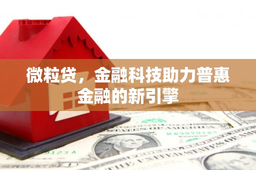 林甸微粒贷，金融科技助力普惠金融的新引擎