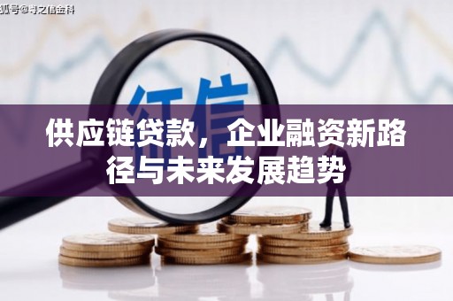 林甸供应链贷款，企业融资新路径与未来发展趋势