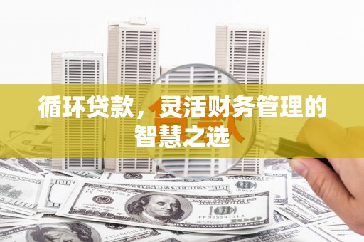林甸循环贷款，灵活财务管理的智慧之选