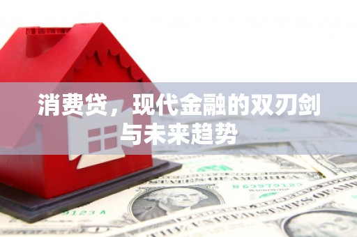 林甸消费贷，现代金融的双刃剑与未来趋势