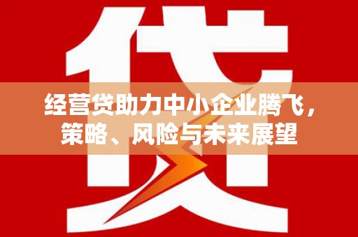 林甸经营贷助力中小企业腾飞，策略、风险与未来展望