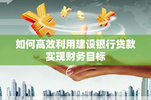 林甸如何高效利用建设银行贷款实现财务目标