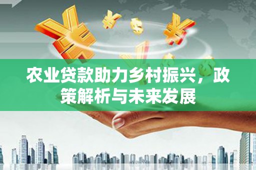 林甸农业贷款助力乡村振兴，政策解析与未来发展