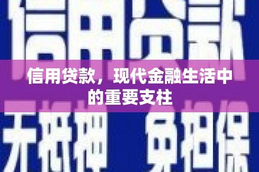 林甸信用贷款，现代金融生活中的重要支柱
