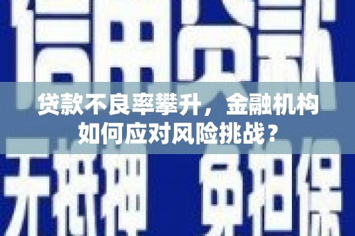 林甸贷款不良率攀升，金融机构如何应对风险挑战？