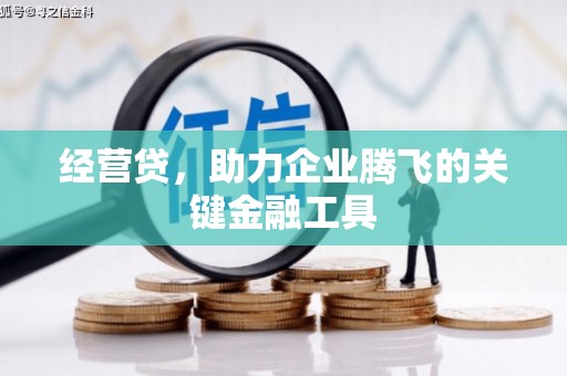 林甸经营贷，助力企业腾飞的关键金融工具