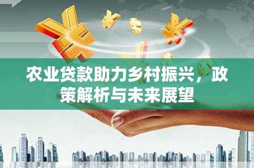 林甸农业贷款助力乡村振兴，政策解析与未来展望