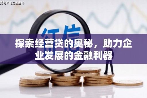 林甸探索经营贷的奥秘，助力企业发展的金融利器