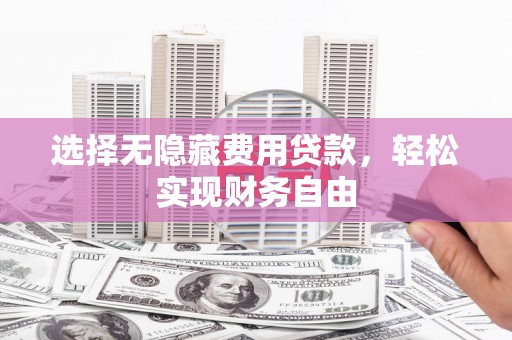 林甸选择无隐藏费用贷款，轻松实现财务自由
