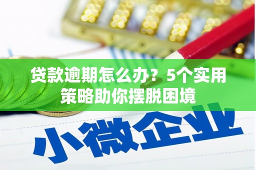 林甸贷款逾期怎么办？5个实用策略助你摆脱困境