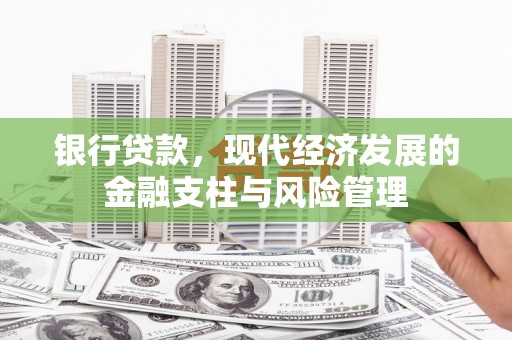 林甸银行贷款，现代经济发展的金融支柱与风险管理