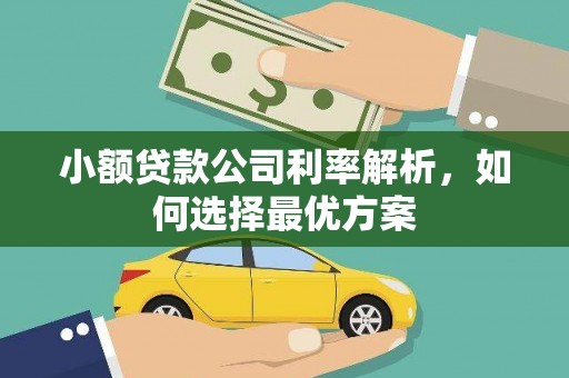 林甸小额贷款公司利率解析，如何选择最优方案