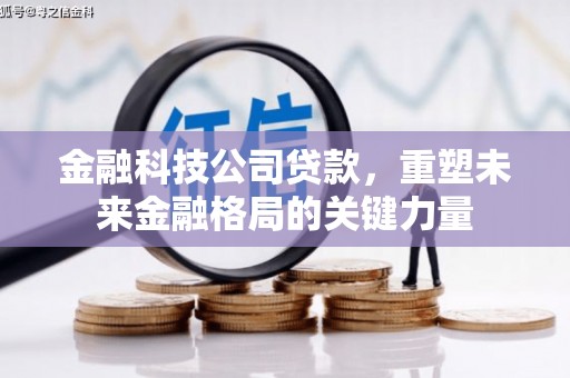 林甸金融科技公司贷款，重塑未来金融格局的关键力量