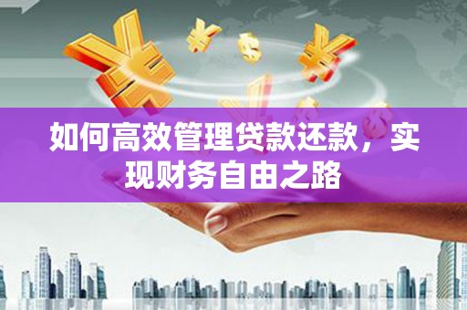 林甸如何高效管理贷款还款，实现财务自由之路