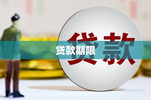 林甸贷款期限
