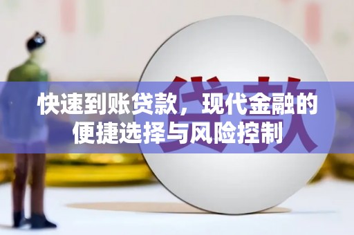 林甸快速到账贷款，现代金融的便捷选择与风险控制