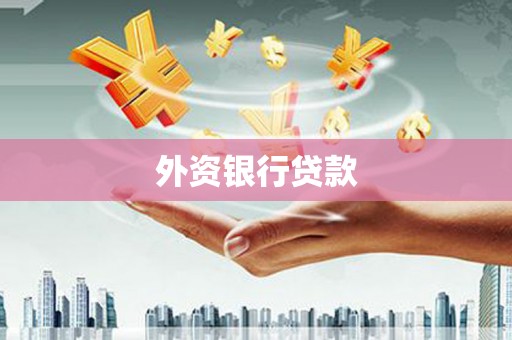 林甸外资银行贷款