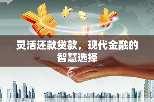 林甸灵活还款贷款，现代金融的智慧选择
