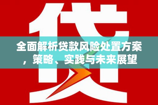 林甸全面解析贷款风险处置方案，策略、实践与未来展望