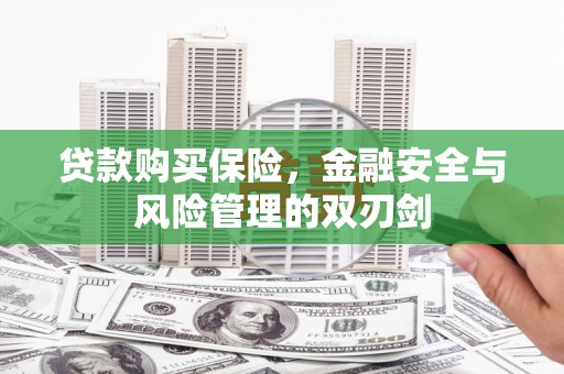 林甸贷款购买保险，金融安全与风险管理的双刃剑