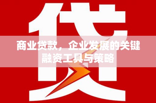 林甸商业贷款，企业发展的关键融资工具与策略