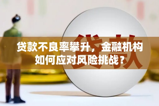 林甸贷款不良率攀升，金融机构如何应对风险挑战？
