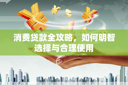 林甸消费贷款全攻略，如何明智选择与合理使用