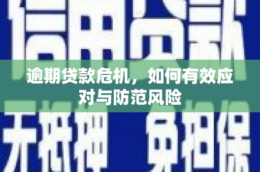 林甸逾期贷款危机，如何有效应对与防范风险