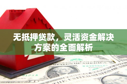 林甸无抵押贷款，灵活资金解决方案的全面解析
