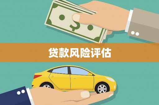 林甸贷款风险评估