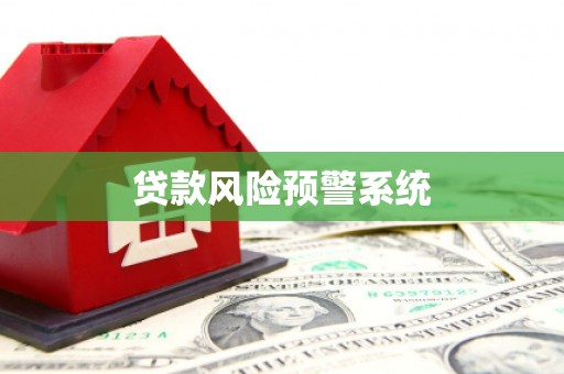 林甸贷款风险预警系统