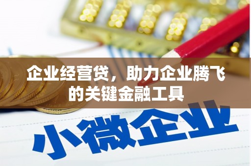 林甸企业经营贷，助力企业腾飞的关键金融工具